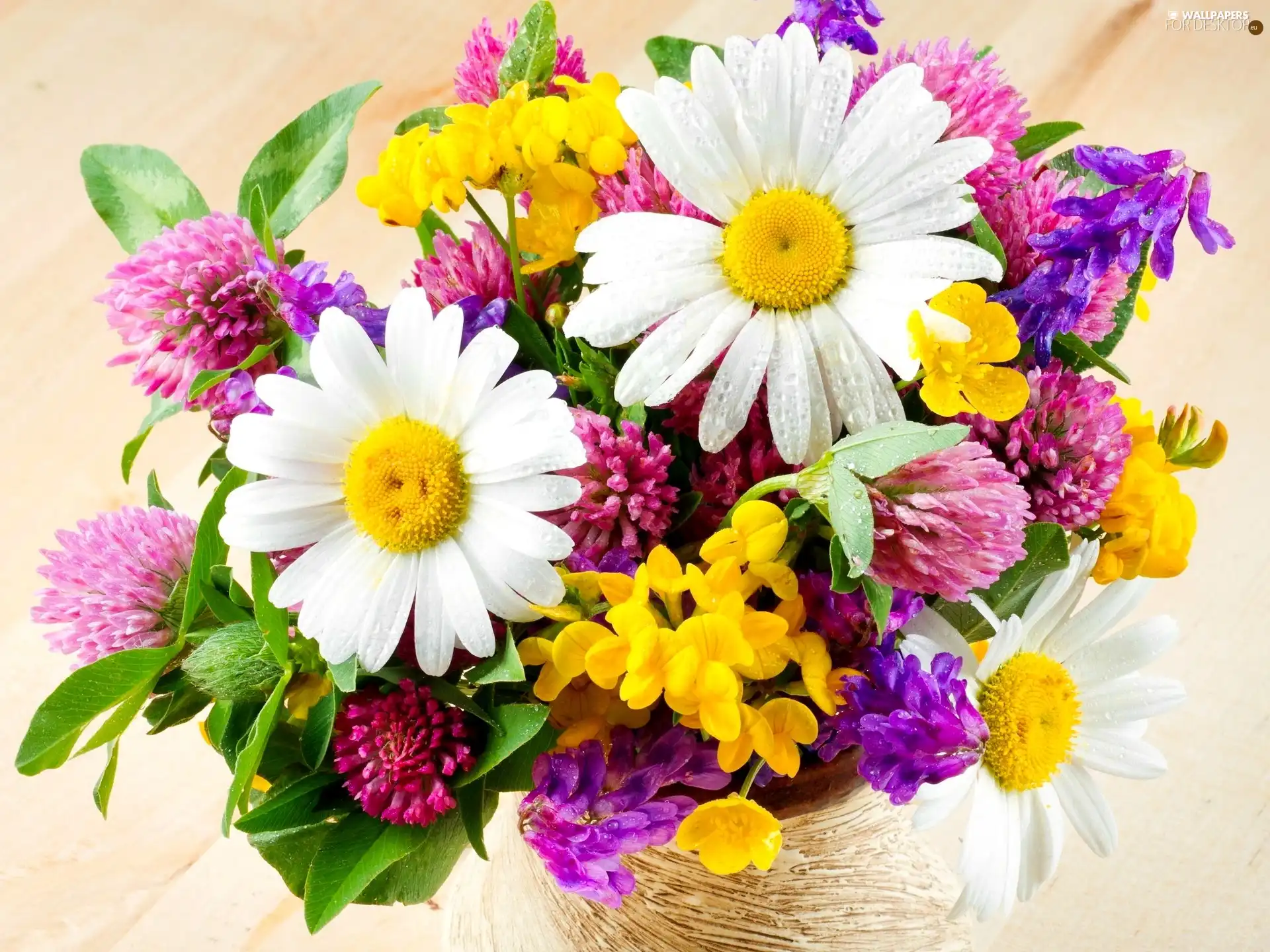 Wildflowers, bouquet, Flowers