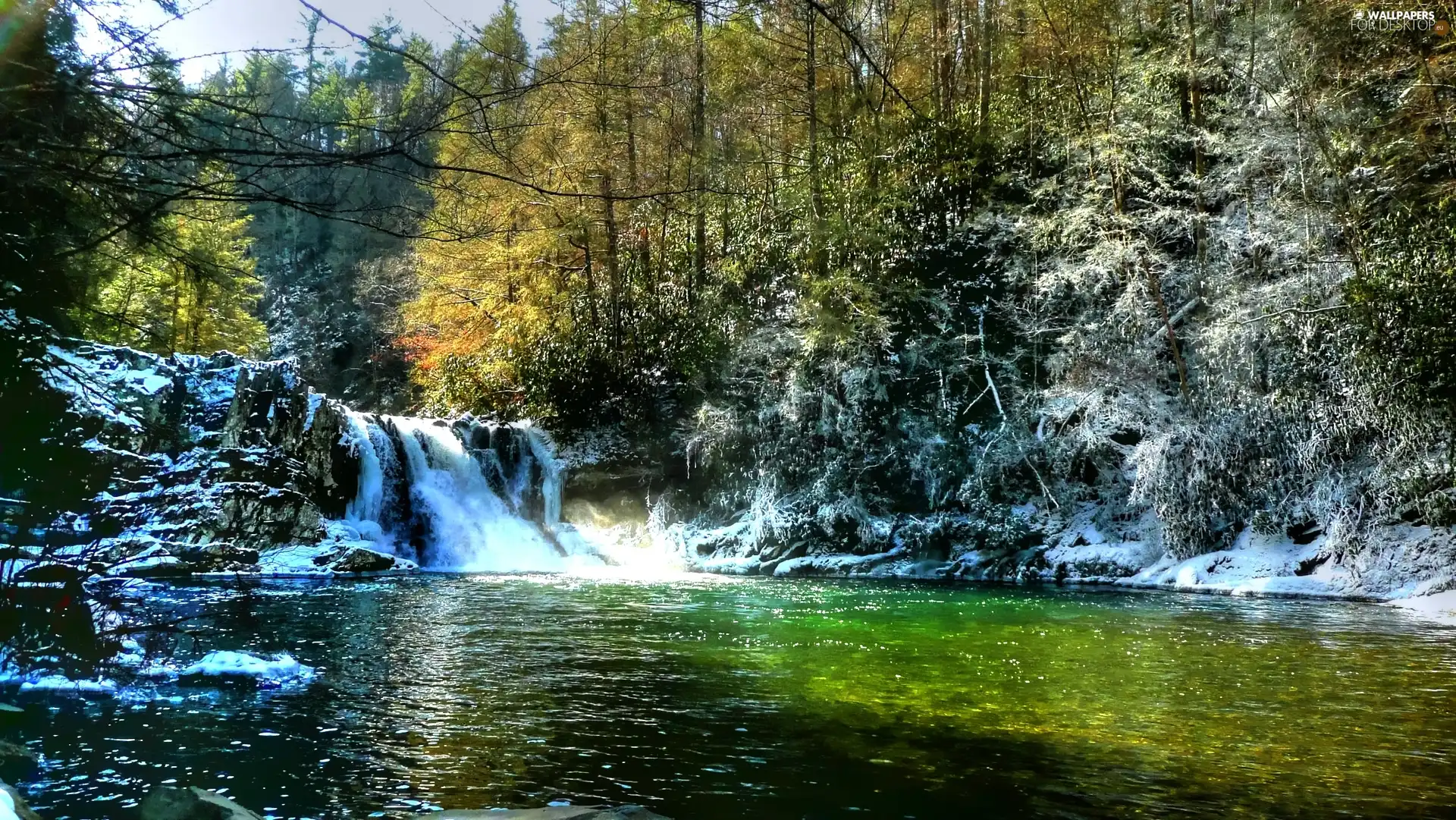 forest, River, winter, waterfall