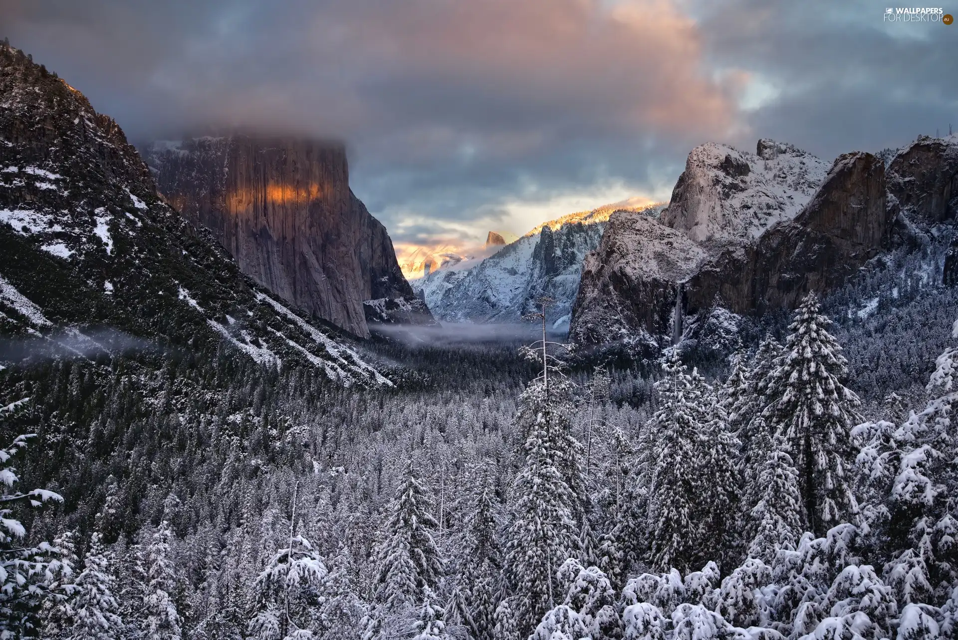 winter, rocks, forest