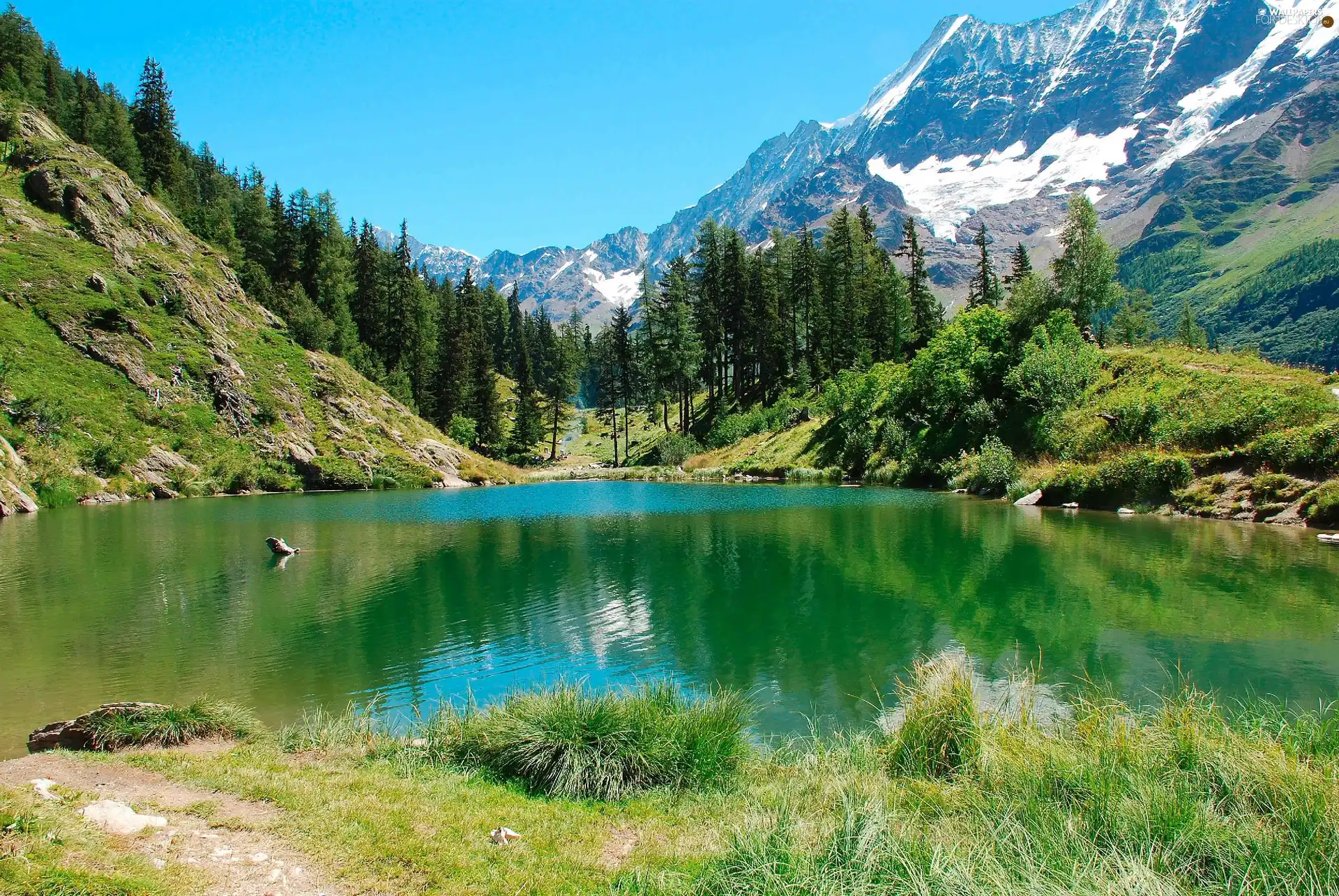 woods, lake, Mountains