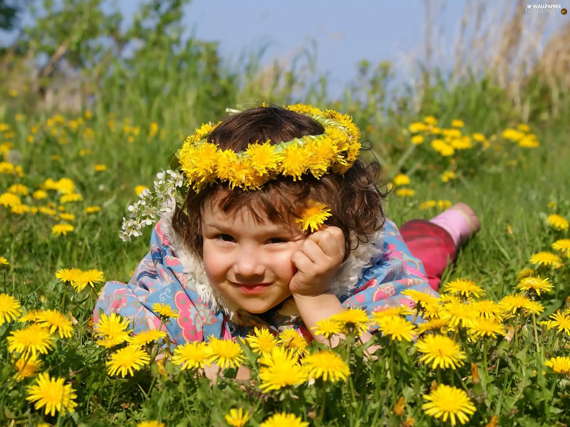 girl, Flowers, wreath, Meadow