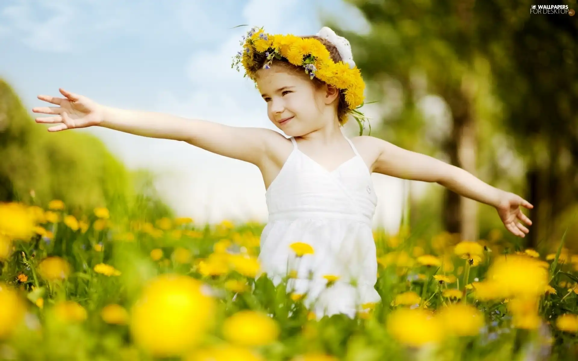 wreath, girl, Meadow